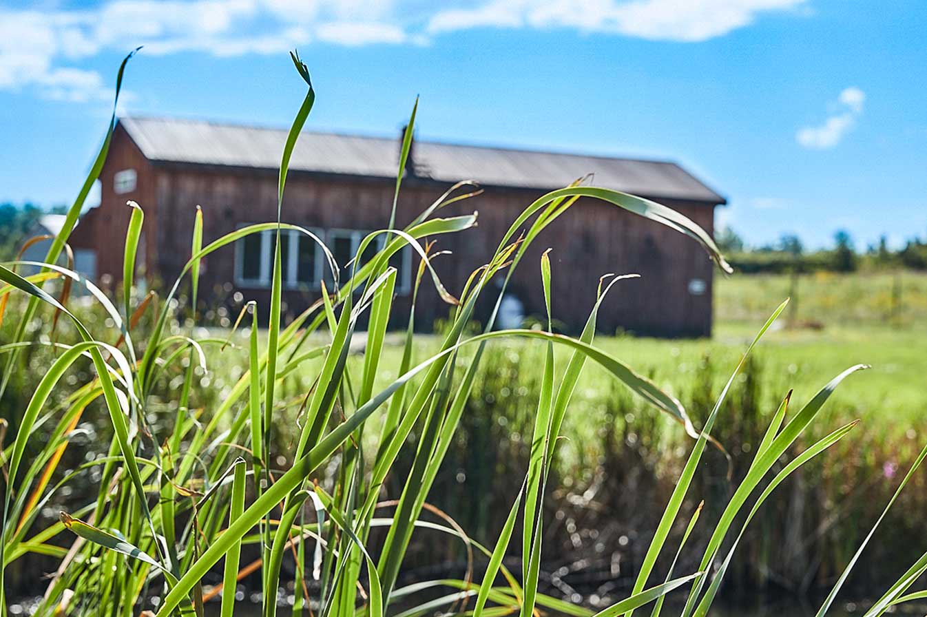 Image of the distillery